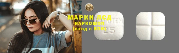 тгк Алзамай