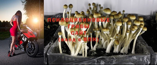 ГАЛЛЮЦИНОГЕННЫЕ ГРИБЫ Алексеевка