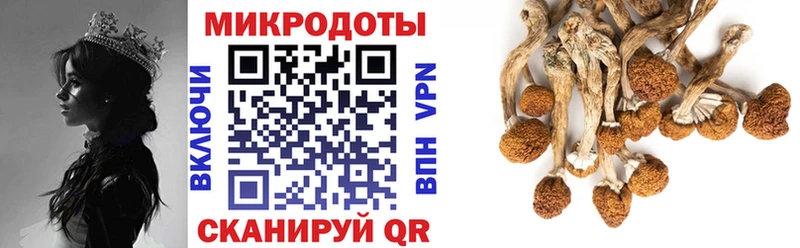 цены наркотик  Далматово  Галлюциногенные грибы GOLDEN TEACHER 